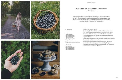 The Nordic Baker, Plant Based Bakes by Sofia Nordgren - pirkko. BOOKS & SUCH