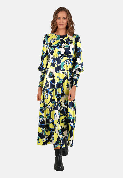 Fit & Flare Long Sleeve Maxi Dress, Lime Print
